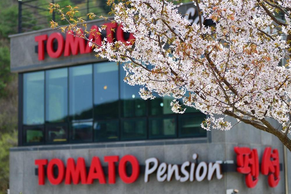 Hwacheon Tomato Pension Exteriör bild